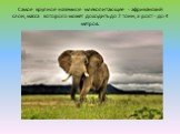 Самое крупное наземное млекопитающее - африканский слон, масса которого может доходить до 7 тонн, а рост - до 4 метров.