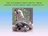 Самое долгоживущее наземное животное - черепаха. Индийская гигантская черепаха Адвайта прожила 255 лет.