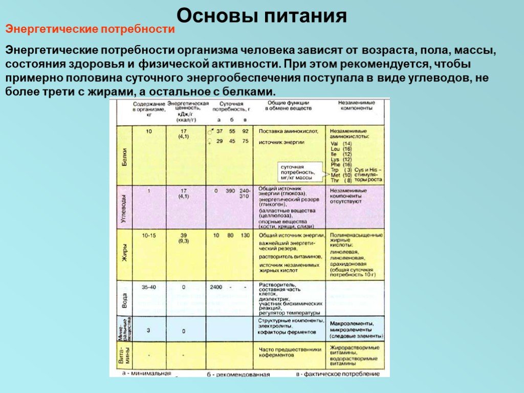 Энергетические потребности. Энергетические потребности организма. Энергетические потребности это. Энергетические потребности организма это определение. Таблица определения энергетических потребностей организма.