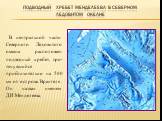 Подводный хребет Менделеева в Северном Ледовитом океане. В центральной части Северного Ледовито­го океана расположен подводный хребет, про­тянувшийся приблизительно на 500 км от ост­рова Врангеля. Он назван именем Д.И.Менде­леева.