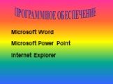 Microsoft Word Microsoft Power Point Internet Explorer. ПРОГРАММНОЕ ОБЕСПЕЧЕНИЕ