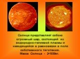 Солнце представляет собою огромный шар, состоящий из водородно-гелиевой плазмы и находящийся в равновесии в поле собственного тяготения. Масса Солнца - 2•1030кг.