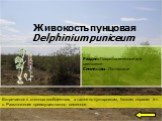 Живокость пунцовая Delphinium puniceum. Встречается в степных сообществах, а также по кустарникам, балкам, оврагам и т. п. Размножение преимущественно семенное.
