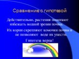 Сравнение с гипотезой. Действительно, растения помогают избежать водной эрозии почвы. Их корни скрепляют комочки почвы и не позволяют воде их унести. Гипотеза верна!