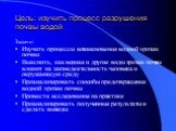 Цель: изучить процесс разрушения почвы водой. Задачи: Изучить процессы возникновения водной эрозии почвы Выяснить, как водная и другие виды эрозии почвы влияют на жизнедеятельность человека и окружающую среду Проанализировать способы предотвращения водной эрозии почвы Провести исследование на практи