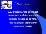 Гипотеза. Мы считаем, что растения помогают избежать водной эрозии почвы из-за того, что их корни укрепляют комочки почвы