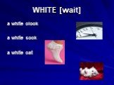 WHITE [wait]. a white clock a white sock a white cat