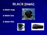 BLACK [blæk]. a black mug a black bus a black fish