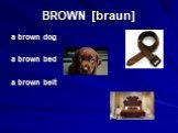 BROWN [braun]. a brown dog a brown bed a brown belt