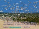 The preserve covers 14,158 ha of dry land and 74,971 ha of water and constitutes the largest nature preserve in Ukraine.