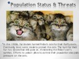 Population Status & Threats. In the 1900s, fur traders hunted Pallas’s cats for their fluffy coats. Eventually, laws were made to protect the cats. The hunt for their fur has slowed but still goes on, threatening the Pallas’s cat’s survival. Efforts to poison pikas to control their population al