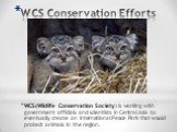 WCS Conservation Efforts. WCS(Wildlife Conservation Society) is working with government officials and scientists in Central Asia to eventually create an International Peace Park that would protect animals in the region.