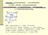 Призма – многогранник, составленный из двух равных многоугольников, расположенных в параллельных плоскостях, и n параллелограммов. MKN - перпендикулярное (к ребру СС1) сечение; Vпризм = SH, где S - площадь основания, H - высота призмы; Vпризм = S⊥l, где S⊥ - площадь перпендикулярного сечения MKN; Пл