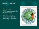 Вирус гриппа. Миксовирус РНК-содержащий (из 8 сегментов) два антигенных комплекса (по S-антигену – 3 типа)