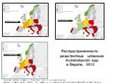 Распространенность резистентных штаммов Acinetobacter spp. в Европе, 2012