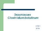 Экзотоксин Clostridium botulinum. СПбГУ 2012г.