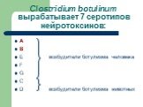 Clostridium botulinum вырабатывает 7 серотипов нейротоксинов: А В E возбудители ботулизма человека F G С D возбудители ботулизма животных