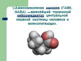 γ-Аминомасляная кислота (ГАМК, GABA) —важнейший тормозной нейромедиатор центральной нервной системы человека и млекопитающих.