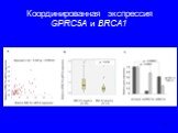 Координированная экспрессия GPRC5A и BRCA1