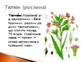 Тютю́н (Nicotiana) рід однорічних і багаторічних_рослин родини пасльонових, що містить понад 70 видів. Українська назва — тютюн — слово запозичене з турецької мови. Тютюн (рослина)
