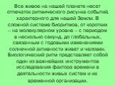 Все живое на нашей планете несет отпечаток ритмического рисунка событий, характерного для нашей Земли. В сложной системе биоритмов, от коротких – на молекулярном уровне – с периодом в несколько секунд, до глобальных, связанным с годовыми изменениями солнечной активности живет и человек. Биологически