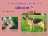 У кого ещё развито обоняние? У кошек У собак