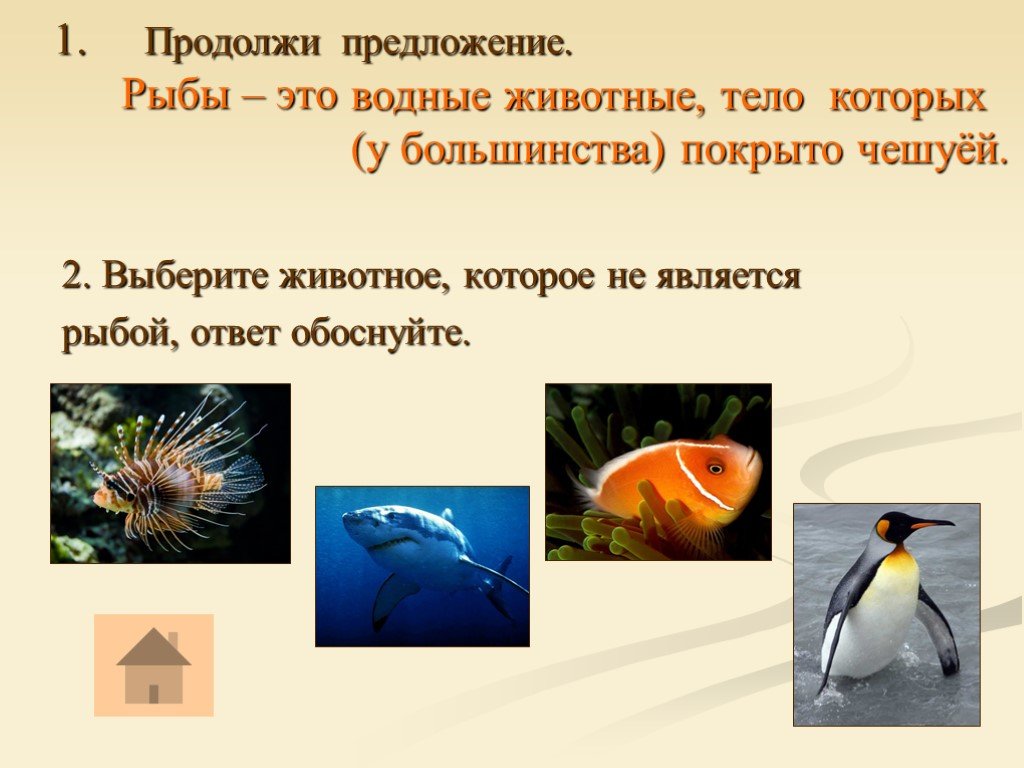 Птицы рыбы предложение. Водные животные тело которых покрыто чешуей. Предложение про рыбу. Предложение про рыбок. Водные животные тело которых покрыто чешуей 2 класс.
