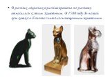 В разных странах в разные времена по-разному относились к этим животным. В 1500 году до нашей эры кошка в Египте считалась священным животным.