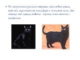 По старинным русским поверьям, кто любит кошек, того они охраняют от злых духов и нечистой силы. Это потому что кошки, особенно черные, сами связаны с колдунами.