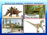 Какой из этих животных не является динозавром? Птеранодон "Птица без зубов"