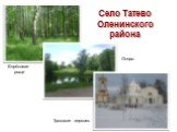 Село Татево Оленинского района. Берёзовая роща Троицкая церковь Озеро