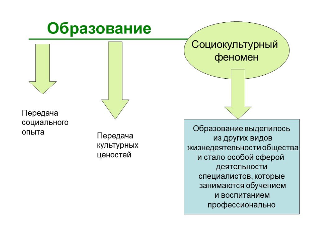 Общественный опыт и социальный опыт. Образование как социокультурный феномен. Образование как социокультурный феномен и педагогический процесс. Образование как социально культурный феномен. Социокультурный феномен это.