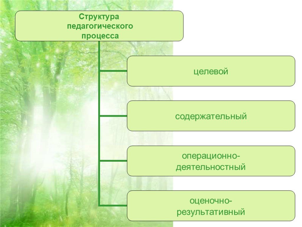 Структура педагогического процесса. Структура педагогического процесса целевой содержательный. Компоненты педагогического процесса целевой. Компоненты структуры пед процесса.