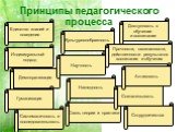 Принципы педагогического процесса. Единство знаний и поведения. Демократизация. Доступность в обучении и воспитании. Гуманизация. Индивидуальный подход. Наглядность Научность. Культуросообразность. Прочности, осознанности, действенности результатов воспитания и обучения. Сотрудничества. Связь теории