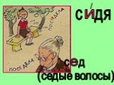 с дя с д (седые волосы)