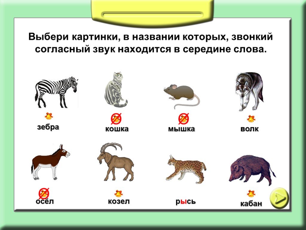 Звонкое название. Животные звуки. Картинки в названии которых звук а. Животные в названии которых есть буквы а. Названия животных мягкое.