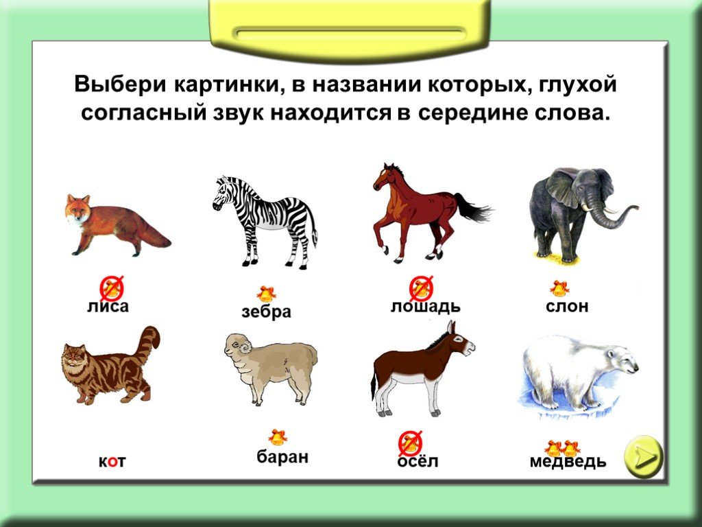 Слово пять букв коне. Животные со звуком с в названии. Животные с буквой ь в названии. Животные в названии которых есть буквы а. Животные на ь в конце.