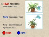 6. Надя поливала растение так: Петя поливал так: Кто действовал правильно? Надя Петя