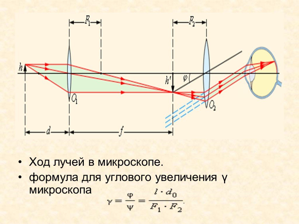 Изображение в микроскопе физика