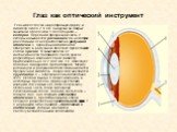 Глаз как оптический инструмент. Глаз имеет почти шарообразную форму и диаметр около 2,5 см. Снаружи он покрыт защитной оболочкой 1 белого цвета – склерой. Передняя прозрачная часть 2 склеры называется роговицей. На некотором расстоянии от нее расположена радужная оболочка 3, окрашенная пигментом. От