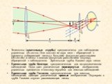 Телескопы (зрительные трубы) предназначены для наблюдения удаленных объектов. Они состоят из двух линз – обращенной к предмету собирающей линзы с большим фокусным расстоянием (объектив) и линзы с малым фокусным расстоянием (окуляр), обращенной к наблюдателю. Зрительные трубы бывают двух типов: Зрите