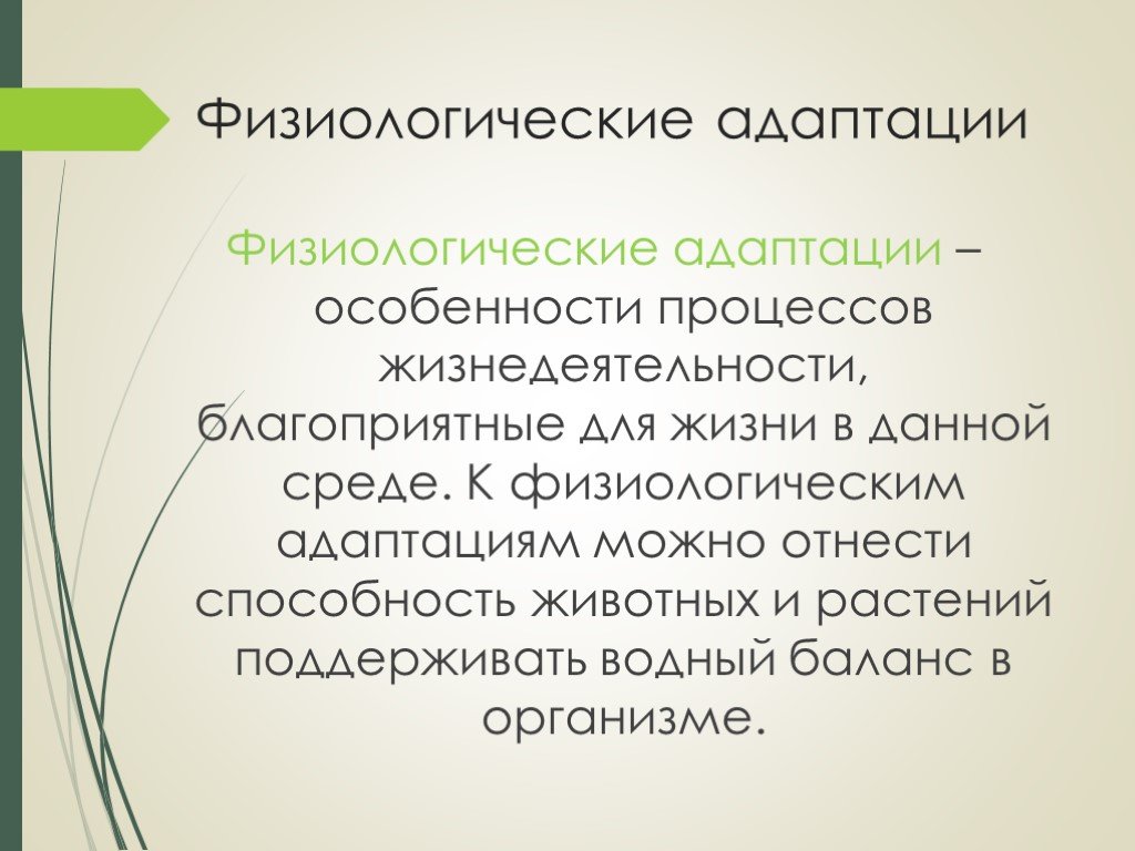 Физиологическая адаптация. Физиологические приспособления. Физиологическая адаптация характеристика. Признаки физиологической адаптации. Физиологические адаптации растений.