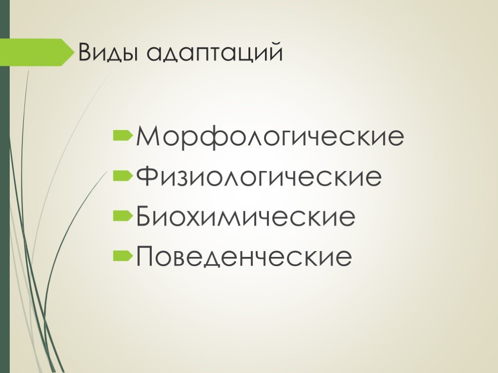 Приспособленность результат эволюции презентация