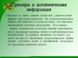 Примеры и дополнительная информация. 1.Высоко в горах можно встретить удивительной формы растения-подушки. Их сильно ветвящиеся побеги так коротки и тесно скучены, что растения напоминают плотные полушария. В условиях низких температур и сильных ветров такая форма роста защищает нежные почки от небл