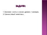 Задачи: 1.Значение охоты в жизни древних тувинцев. 2.Промысловый животных.