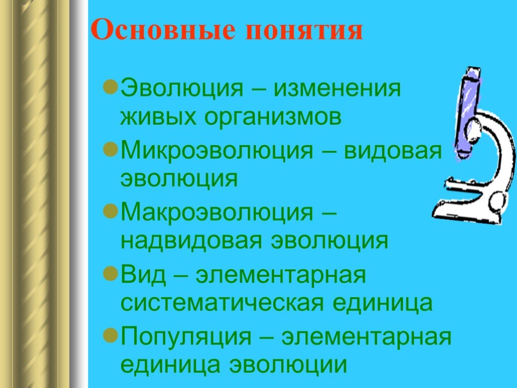 Биология 9 класс презентация основные закономерности эволюции