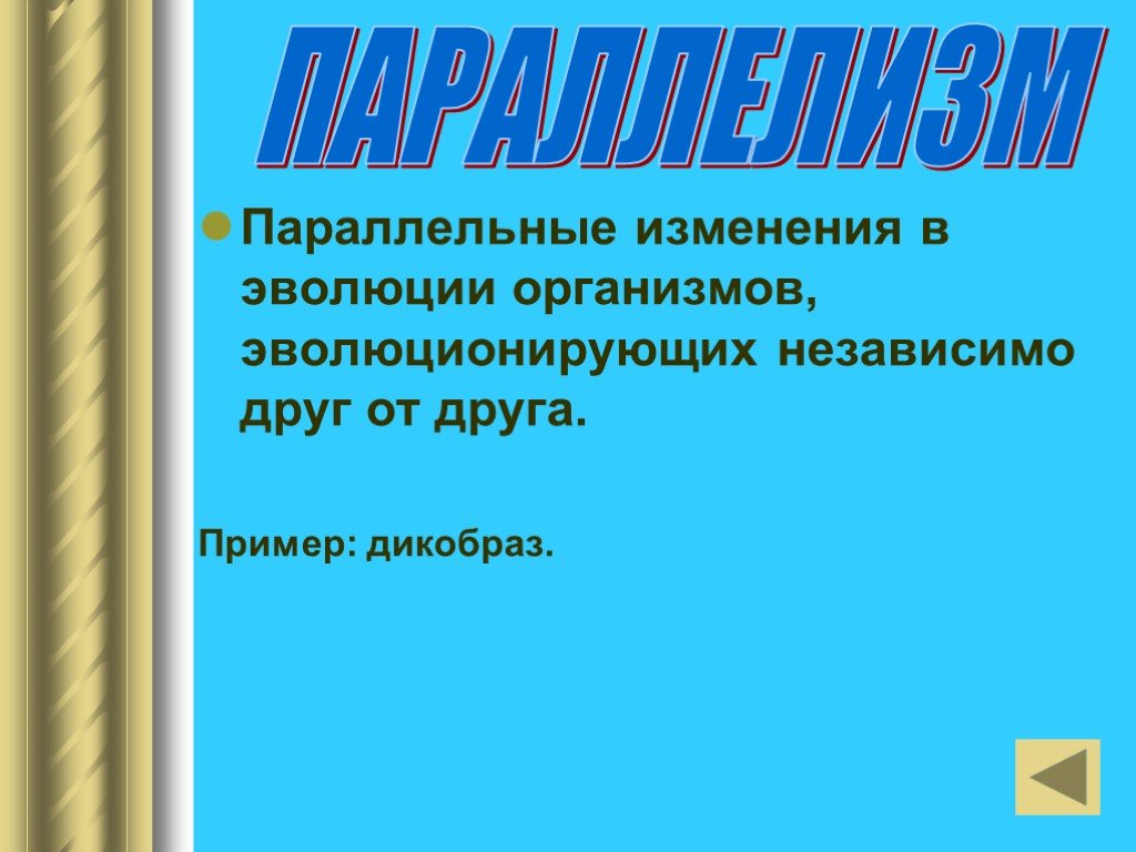 Основные закономерности эволюции 9 класс презентация