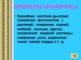 ПРИМЕРЫ АРОМОРФОЗА: Трахейная система дыхания; появление фотосинтеза у растений; появление корней, стеблей, листьев, цветка; усложнение нервной системы; появление речи; изменение числа камер сердца и т. д.