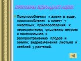 ПРИМЕРЫ ИДЕОАДАПТАЦИИ: Приспособления к жизни в воде; приспособления к полету у животных; приспособления к перекрестному опылению ветром и насекомыми, к распространению плодов и семян; видоизменения листьев и стеблей у растений.