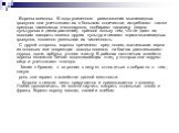 Вороны всеядны. В годы усиленного размножения мышевидных грызунов они уничтожают их в большом количестве, истребляют также вредных насекомых и моллюсков, подбирают падалицу (зерна культурных и диких растений), принося пользу тем, что не дают их всходам засорять посевы других культур и лишают корма м